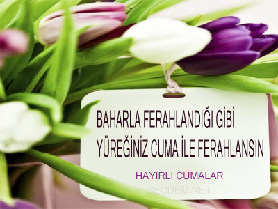 Okyanus Yurekli Dusler Facebook