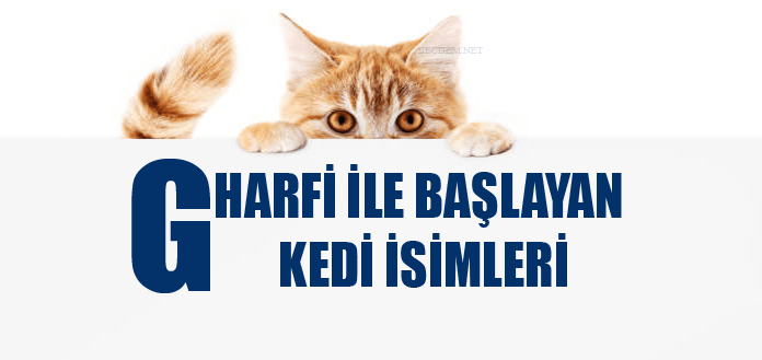 G Harfi Ile Baslayan Kedi Isimleri Disi Ve Erkek Secdem