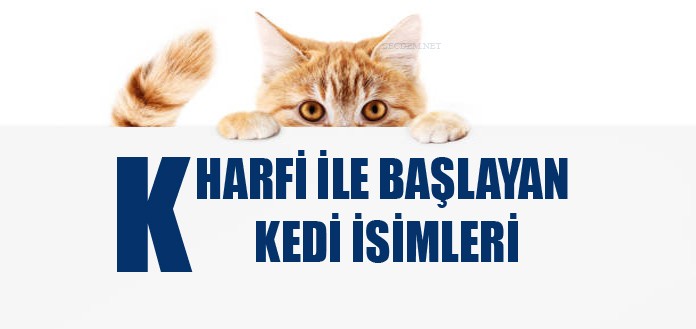 K Harfi Ile Baslayan Kedi Isimleri Disi Ve Erkek Secdem Bir Dunya Icerik