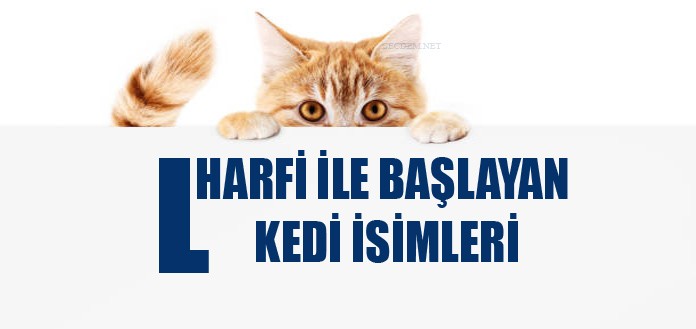 L Harfi Ile Baslayan Kedi Isimleri Disi Ve Erkek Secdem Bir Dunya Icerik