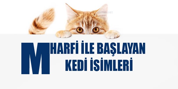 M Harfi Ile Baslayan Kedi Isimleri Disi Ve Erkek Secdem Bir Dunya Icerik