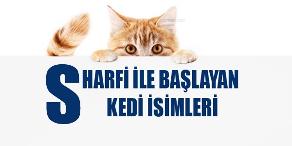 S Harfi Ile Baslayan Kedi Isimleri Disi Ve Erkek Secdem Bir Dunya Icerik